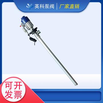 防爆電動抽液泵